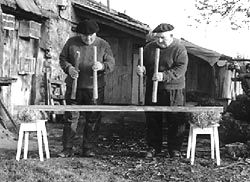 foto - recogida en la red